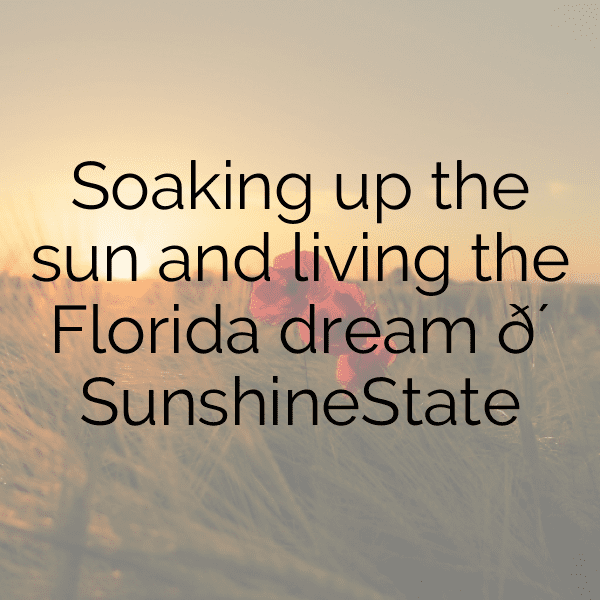 Manatee Captions Photo For Instagram-lInKP1