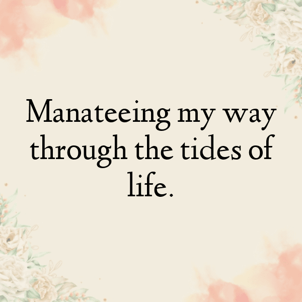 Manatee Captions Photo For Instagram-qAsGor