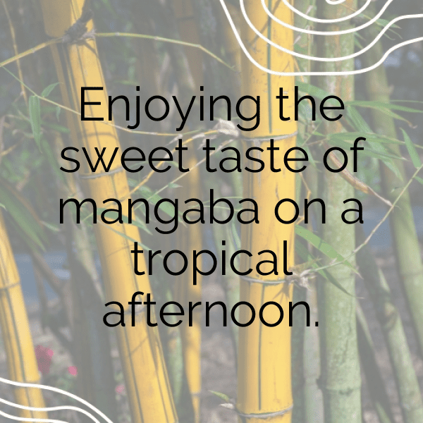 Mangaba Captions Photo For Instagram-1MeEvS