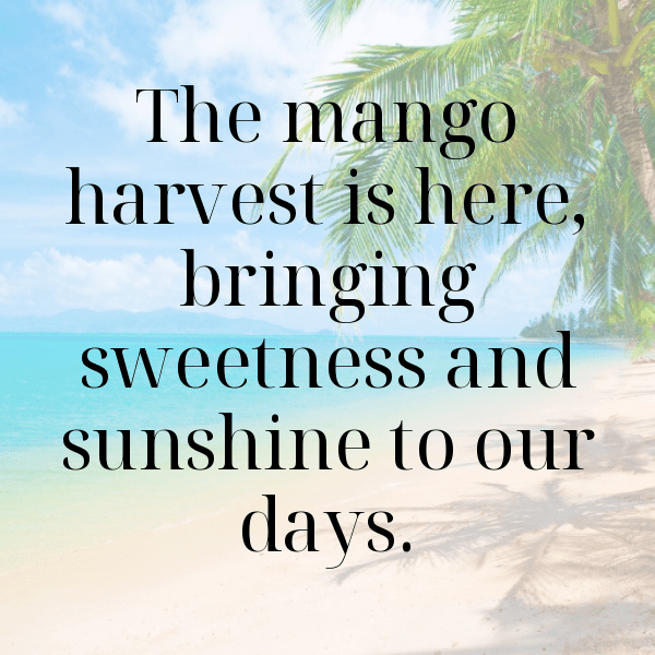 Mangetout Captions Image For Instagram-D48S2I