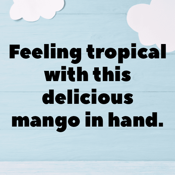 Mango Captions Photo For Instagram-sNWJTb