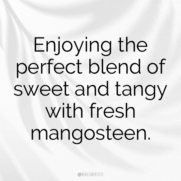 Mangosteen Captions Photo For Instagram-3ANJrw