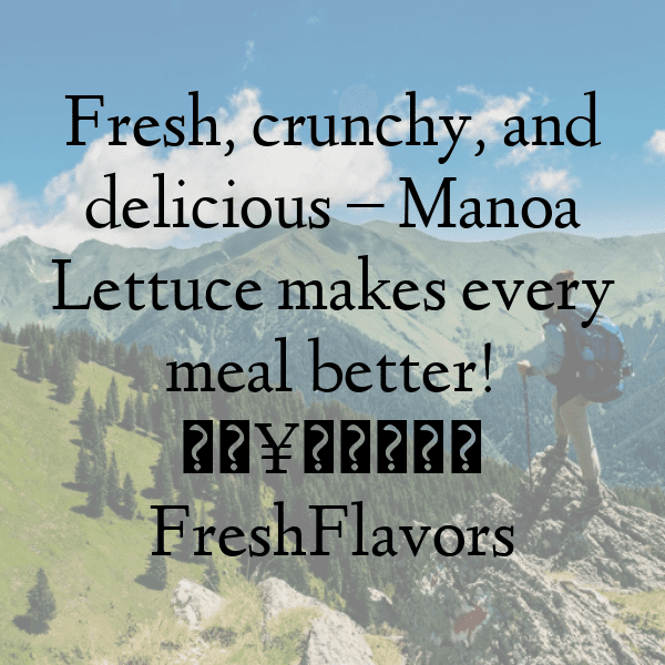 Manoa Lettuce Captions Image For Instagram-sVmHhM