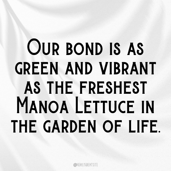 Manoa Lettuce Captions Photo For Instagram-nxHQf5