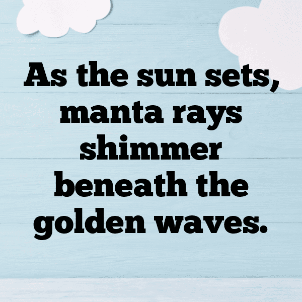 Manta Ray Captions Image For Instagram-Danrvh