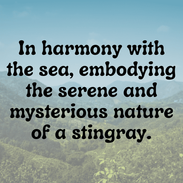 Manta Ray Captions Image For Instagram-HT4Iyf