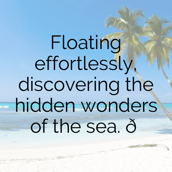 Manta Ray Captions Image For Instagram-jouuEw