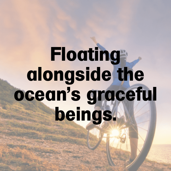 Manta Ray Captions Image For Instagram-qD3Weh