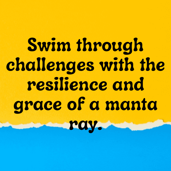 Manta Ray Captions Image For Instagram-rM5Vmw
