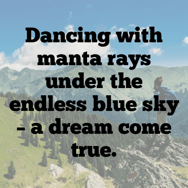 Manta Ray Captions Image For Instagram-rxYXqP