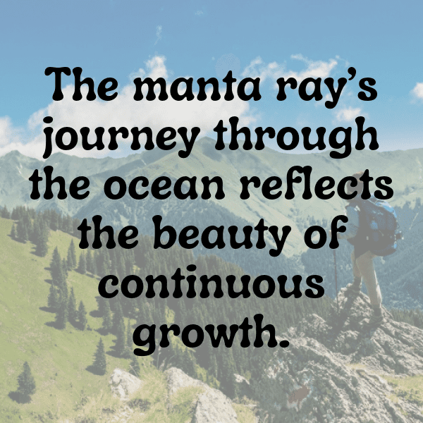 Manta Ray Captions Image For Instagram-ZqTkkf