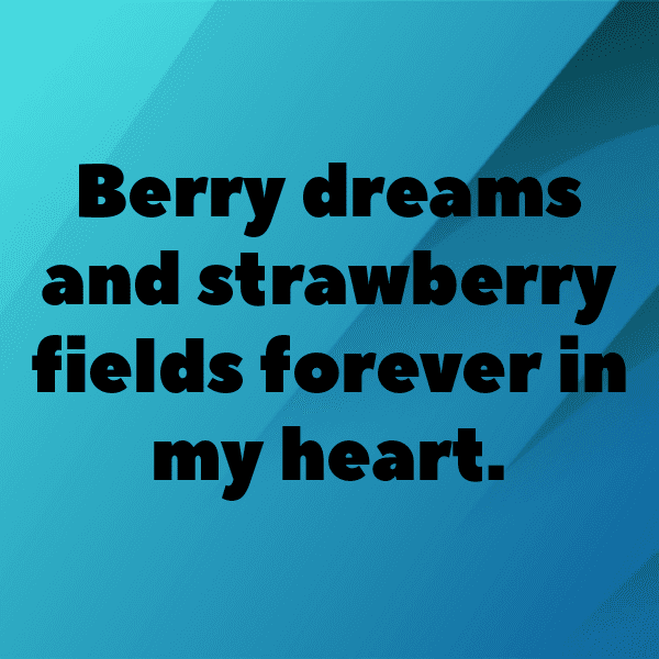 Maqui Berry Captions Image For Instagram-4rkSow