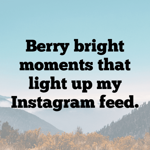 Maqui Berry Captions Image For Instagram-kzDUIU