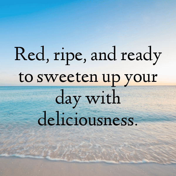 Maqui Berry Captions Image For Instagram-zvx4DE