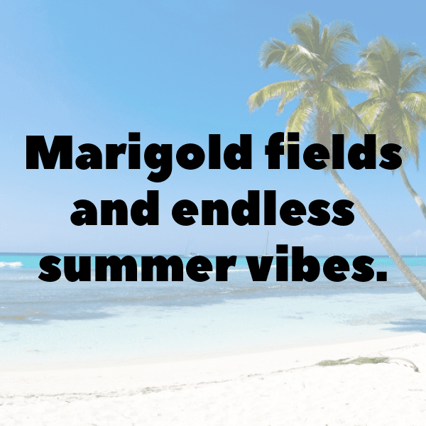 Marigold Captions Image For Instagram-1rI31b