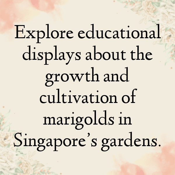 Marigold Captions Image For Instagram-EjxJ6r