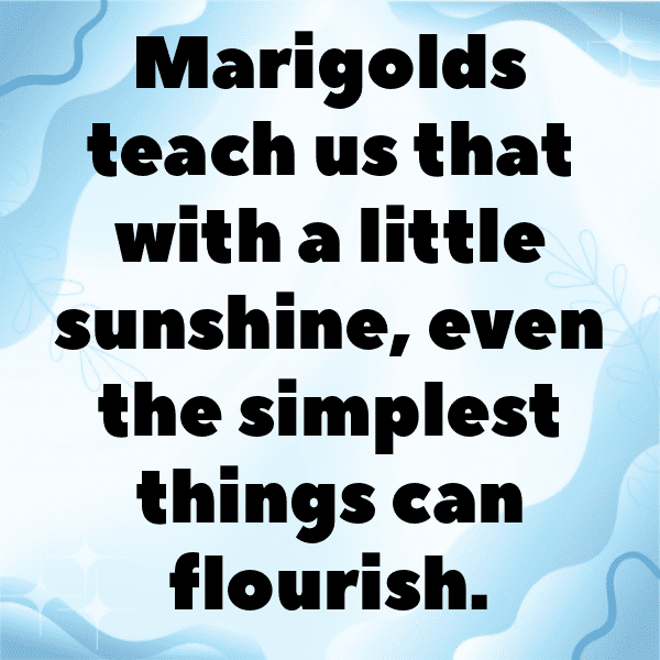 Marigold Captions Image For Instagram-J3EgcL