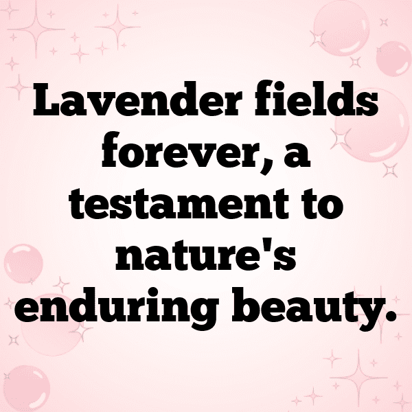 Marigold Captions Photo For Instagram-E0K9nZ