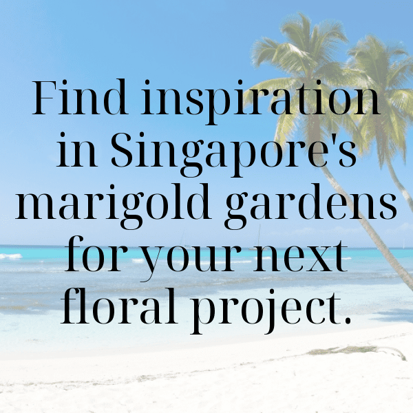 Marigold Captions Photo For Instagram-YIYqbX