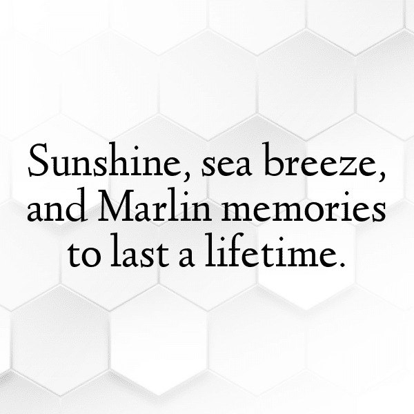 Marlin Captions Image For Instagram-Q4Dbjg