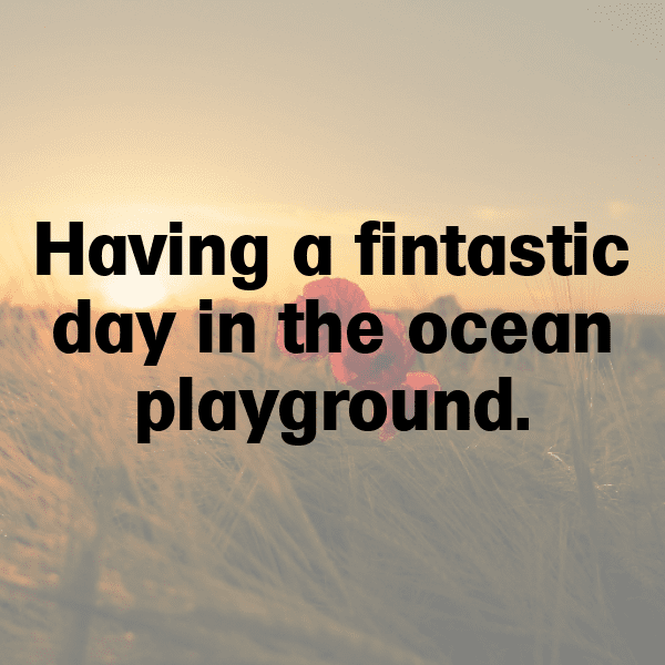 Marlin Captions Photo For Instagram-jIVEIj