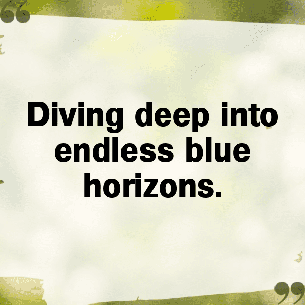 Marlin Captions Photo For Instagram-l9664A