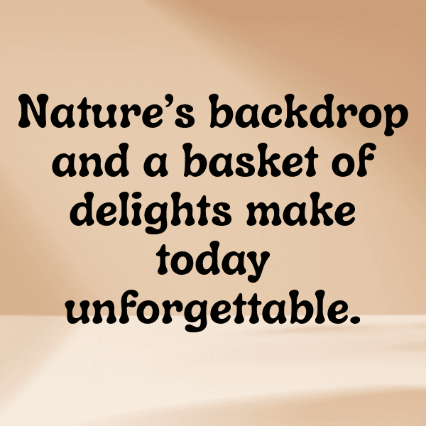 Meadow Picnic Captions Image for Instagram-n6EMCG