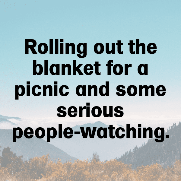 Meadow Picnic Captions Image for Instagram-wGIPvn