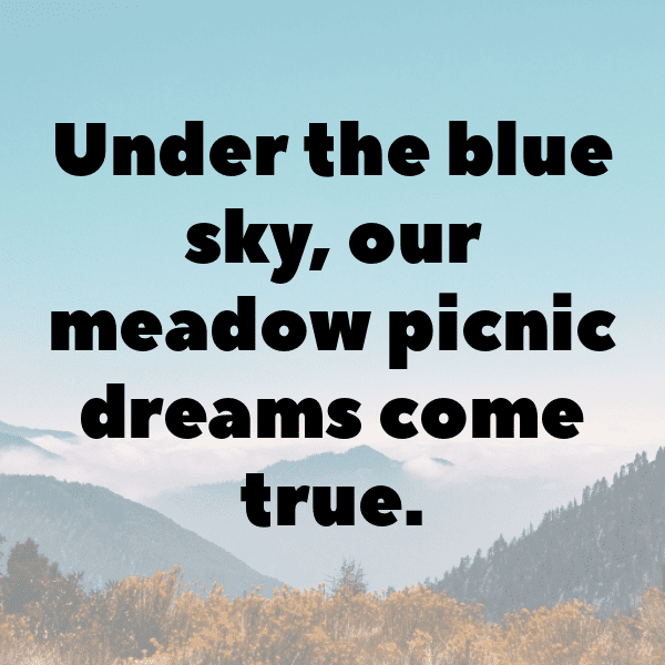 Meadow Picnic Captions Photo for Instagram-M8EN9k