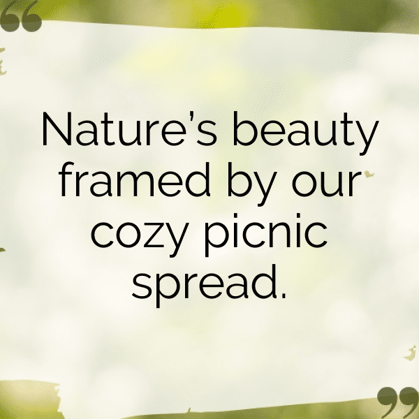 Meadow Picnic Captions Photo for Instagram-S46IrJ