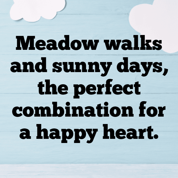 Meadow Walk Captions Image for Instagram-ib23H5