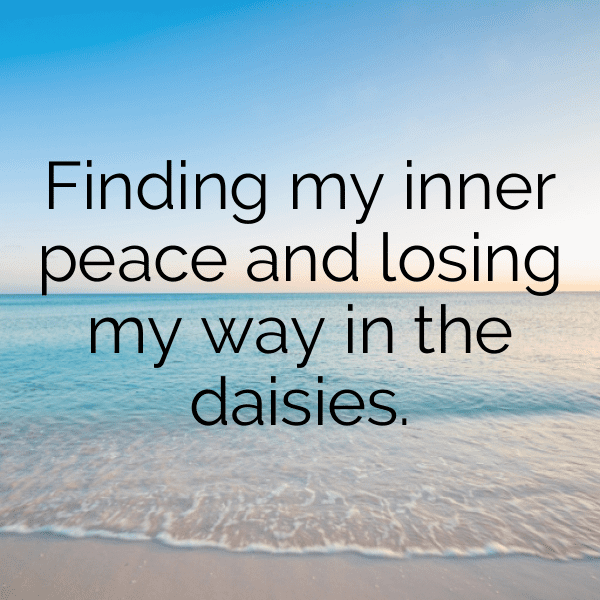 Meadow Walk Captions Image for Instagram-xO9ygm