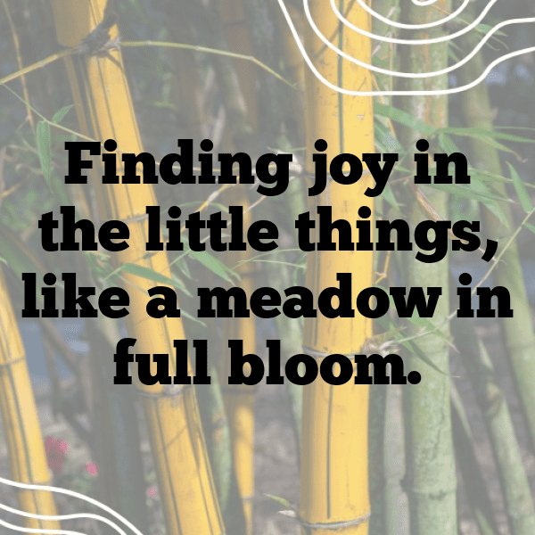 Meadow Walk Captions Photo for Instagram-L5dK6r