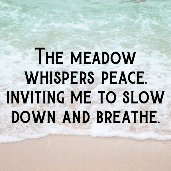 Meadow Walk Captions Photo for Instagram-MZPbc6
