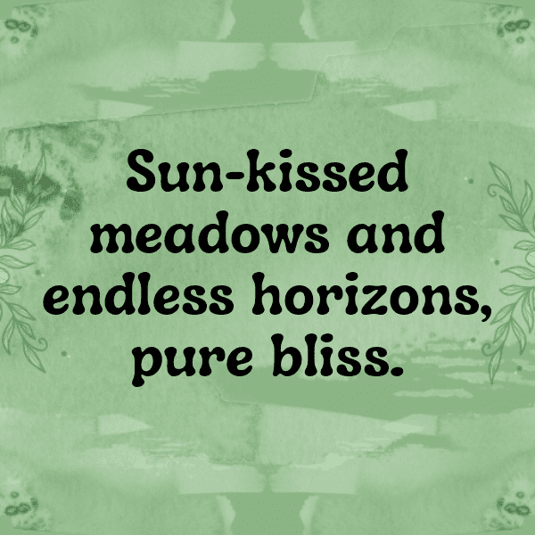 Meadow Walk Captions Photo for Instagram-xMIYVF