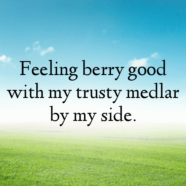 Medlar Captions Image For Instagram-vE8O1n