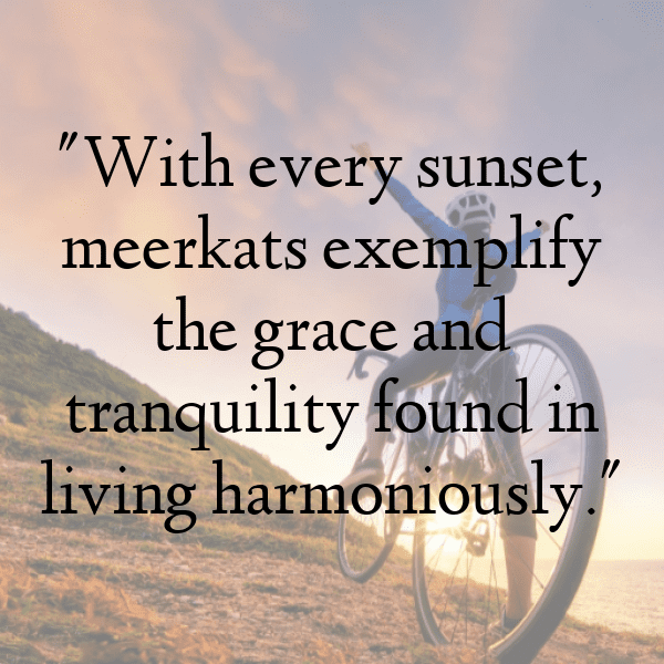 Meerkat Captions Image For Instagram-7aLC4S