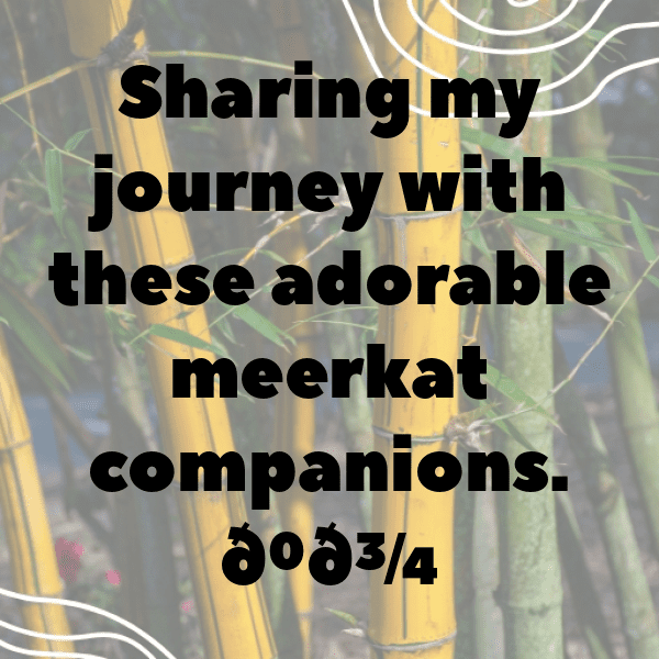 Meerkat Captions Image For Instagram-Mu9lEo