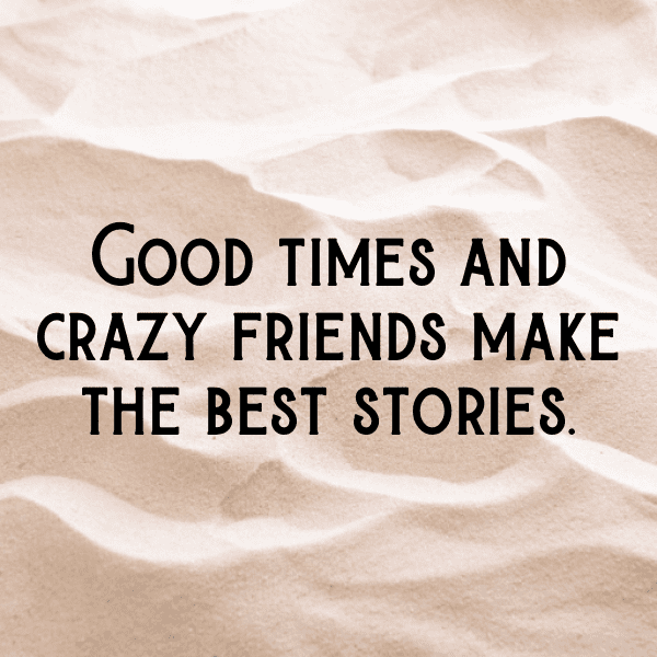 Meerkat Captions Image For Instagram-oVGFOF