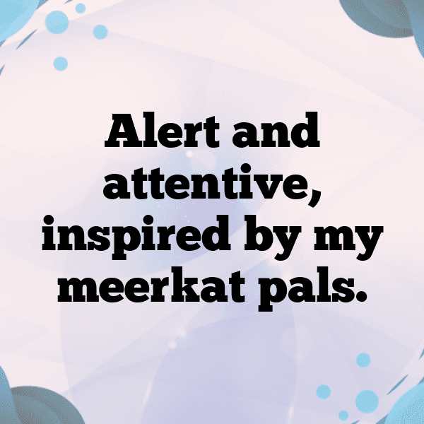 Meerkat Captions Image For Instagram-U5BAiZ