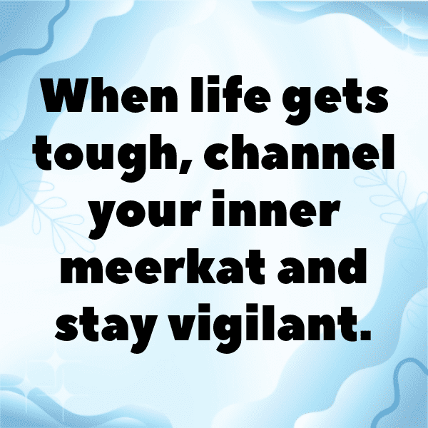 Meerkat Captions Image For Instagram-uVs5Yh