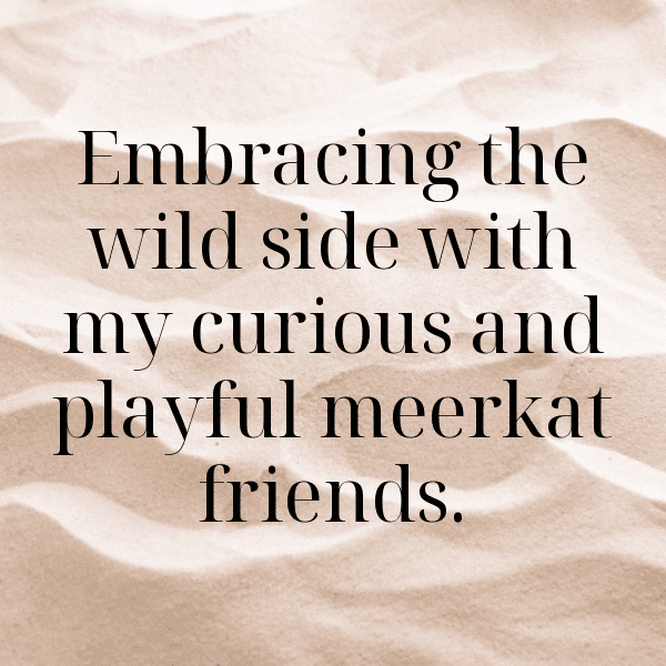 Meerkat Captions Photo For Instagram-56XfnK