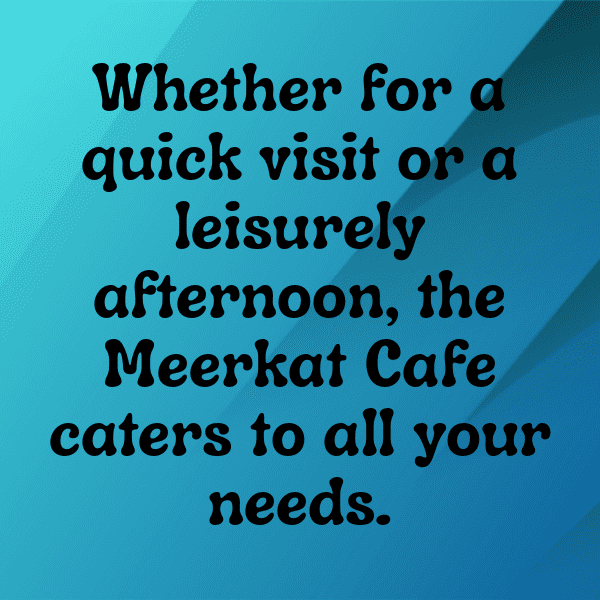 Meerkat Captions Photo For Instagram-S1s52Y