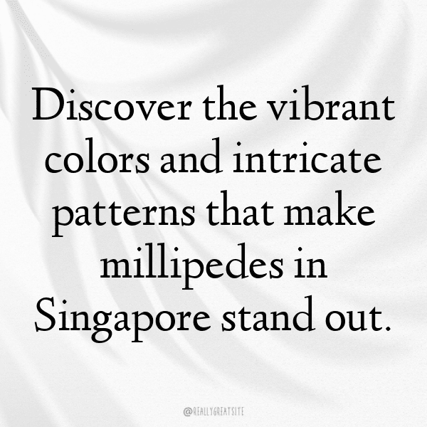 Millipede Captions Image For Instagram-bBytpP