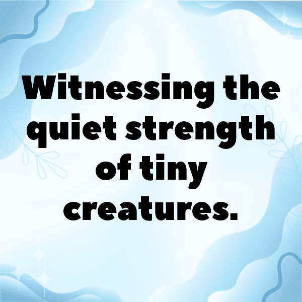 Millipede Captions Photo For Instagram-0wYebR