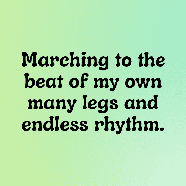 Millipede Captions Photo For Instagram-O916DY