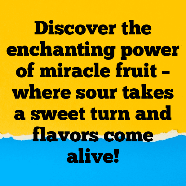 Miracle Fruit Captions Image For Instagram-46owhs