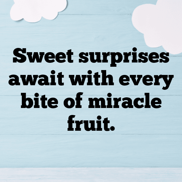 Miracle Fruit Captions Image For Instagram-7ZTNpO