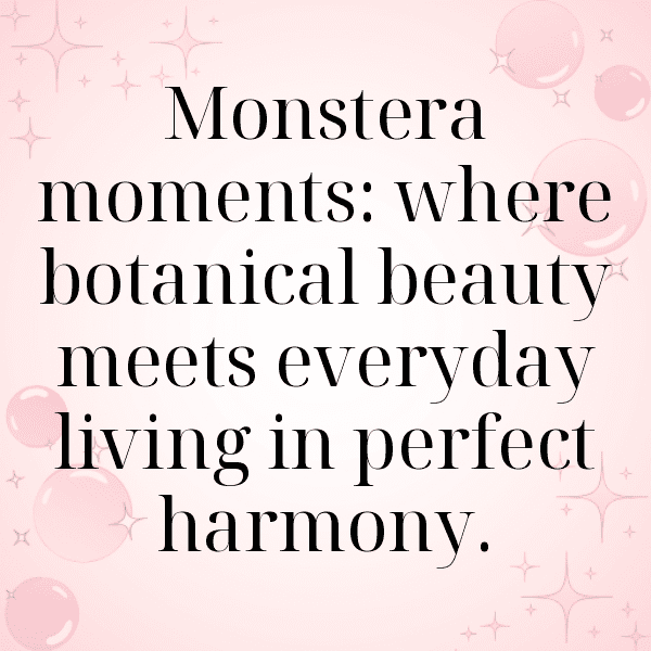 Monstera Deliciosa Captions Image For Instagram-4tDGwm