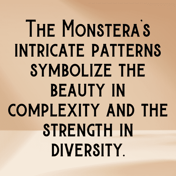 Monstera Deliciosa Captions Image For Instagram-NxoXvr